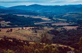 La acción climática y el cero neto deben establecerse como verdaderas políticas de Estado para los gobiernos de la región y el mundo.