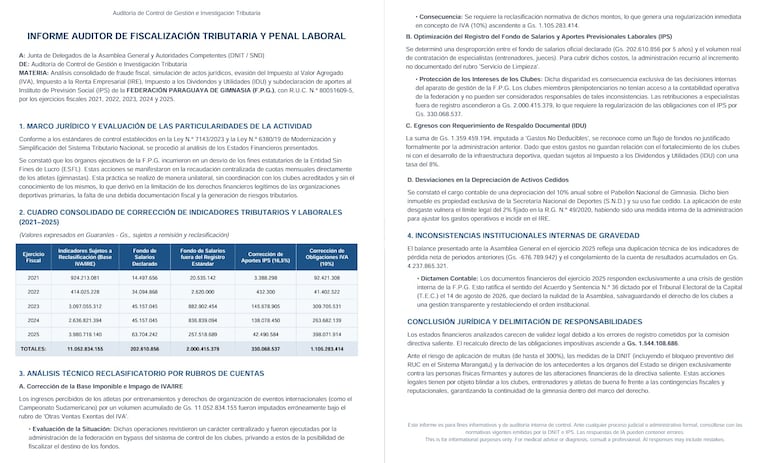 Informe pericial