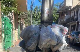 Un "arbolito de basura" formaron los vecinos en el barrio Ciudad Nueva de Asunción.