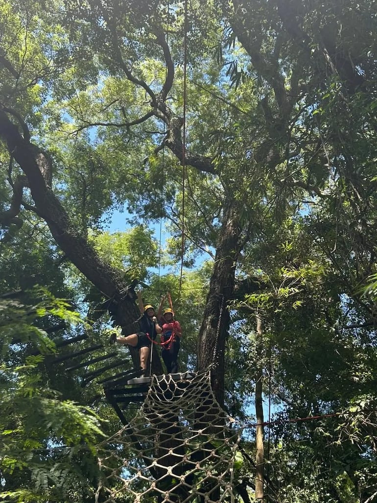 El arborismo entre amigos es ideal para disfrutar este feriado.