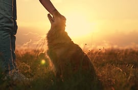 Mujer acaricia a un perro.