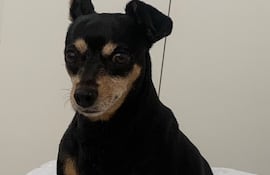 Sebom se perdió en Capiatá.