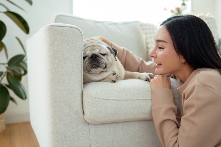 Perro escucha a su dueña mientras esta le habla, imagen ilustrativa.
