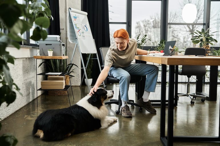 Concepto de perro en la oficina.