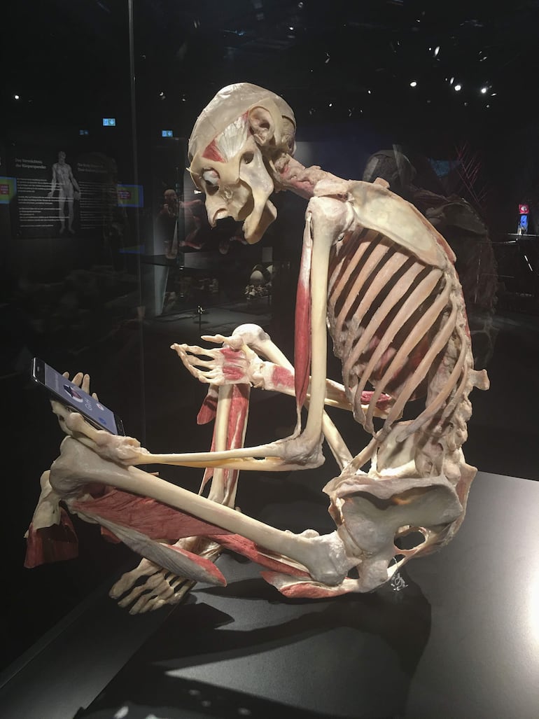 Gunther von Hagens, el creador de los cadáveres humanos "plastinados" que han dado la vuelta al mundo en numerosas muestras, ha muerto el pasado 24 de julio a la edad de 81, según informó este lunes su Instituto para la Plastinación en un comunicado. 
