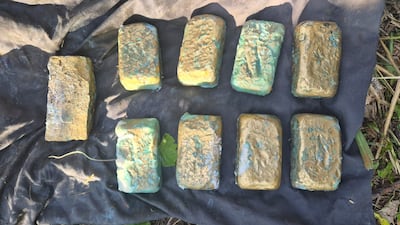 En el lugar fue hallada una bolsa de plástico de color negra, que contenía nueve panes de material blando, que estaban revestidos con papel aluminio de color dorado. Preliminarmente se presume se trata de panes de jabón, pero el material todavía está por determinarse a través de pericias científicas.