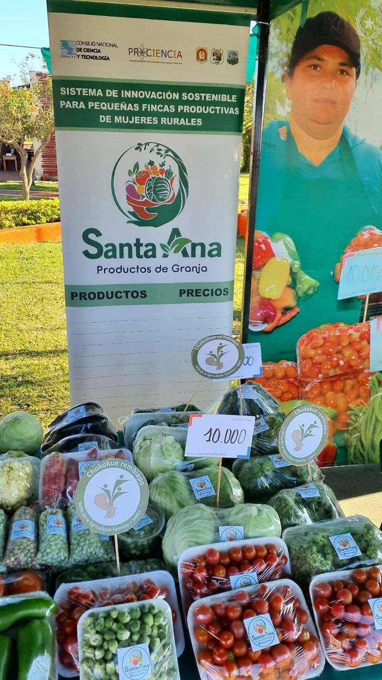 Stand con verduras frescas como lechugas y tomates, etiquetados con precios, bajo banner de 'Santa Ana – Productos de Granja'.