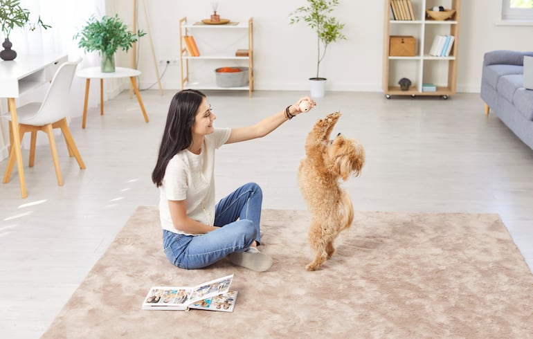 Los perros entienden mucho más de lo que creemos.