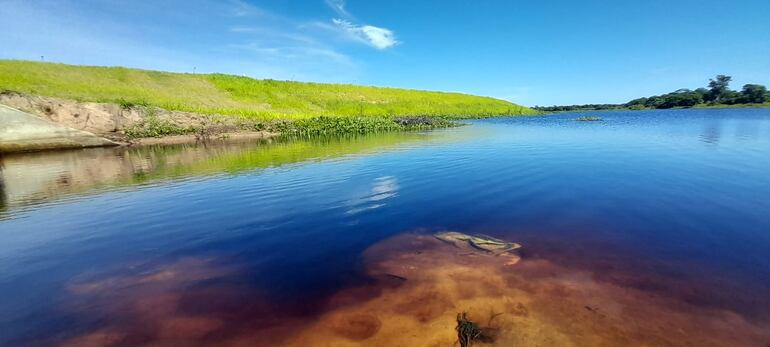 El arroyo Ñeembucú se convirtió en un reservorio de aguas negras debido a que la Essap deposita  los desechos cloacales sin previo tratamiento.