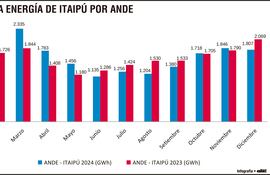 En 41 años de producción, Paraguay pudo utilizar solo el 10% de la producción de Itaipú y el 20% de la energía que le corresponde.