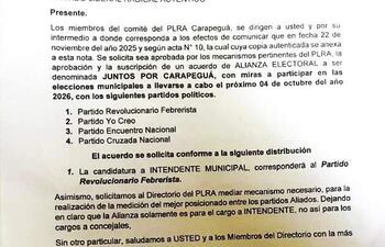 Desacuerdo entre liberales por una nota remitida al Directorio del PLRA sobre una presunta alianza con partidos de la oposición.