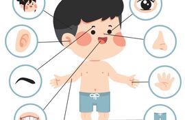 Yo y mi cuerpo