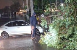 Hombre con abrigo evaluando un árbol caído en la calle, mientras llueve, con un coche plateado estacionado cerca.