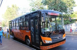 Bus de la empresa Magno, Línea 12.