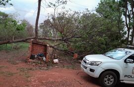 Las fuertes ráfagas de viento derribaron un árbol, que afectó al Puesto Policial 12 de Yguazú.