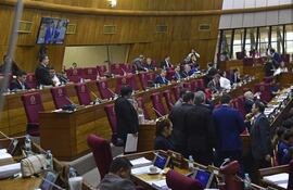 Tras su paso por Diputados, el proyecto de reforma a la ley que regula a las mipymes volverá al Senado, para el análisis de las últimas modificaciones incluidas. Gustavo Machado.