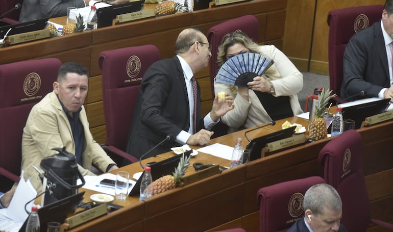 Zenaida Delgado se cubre la boca con un abanico para hablar con el procesado Erico Galeano mientras "Chaqueñito" queda fuera de la conversación. 