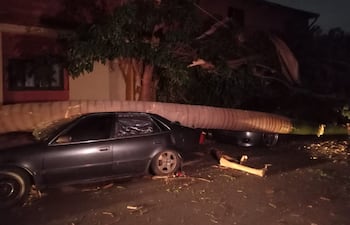 Árbol cae sobre auto y deja barrios sin energía.