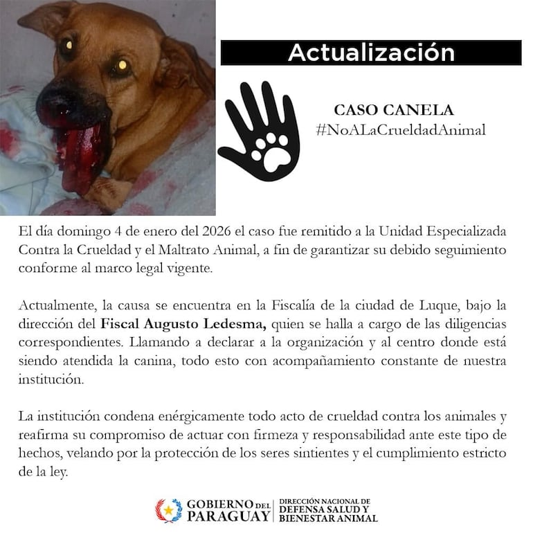 Actualización del caso de "Canela".
