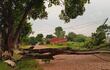 Caída de árbol y columnas de la ANDE dejan sin energía eléctrica al barrio San Vicente de Carapeguá.
