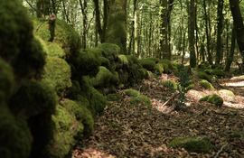 REGGIO CALABRIA, 23/07/2024.-Un grupo de investigadores encontró en un área boscosa de la región de Reggio Calabria (sur de Italia) una muralla de 3 kilómetros de longitud datada en tiempos de la rebelión de Espartaco, el mayor levantamiento de esclavos en la Antigua Roma, informó este martes el Ministerio de Cultura. Se trata de un muro que atraviesa el bosque de Dossone della Melia, "salvando fuertes desniveles, una meseta y, en el tramo final, incluso un arroyo", señaló el Ministerio en un comunicado, en el que explica que la estructura, construida en el 72 a.C., sirvió "para contener a los rebeldes liderados por Espartaco".-EFE/ Ministerio de Cultura de Italia ***SOLO USO EDITORIAL/SOLO DISPONIBLE PARA ILUSTRAR LA NOTICIA QUE ACOMPAÑA (CRÉDITO OBLIGATORIO)***