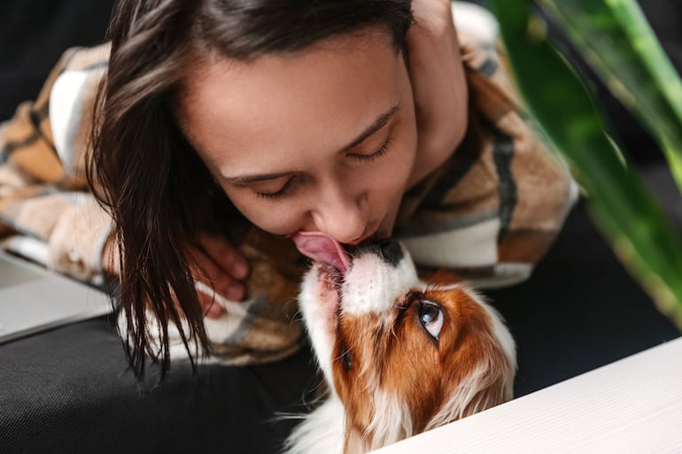 Perro que lame la cara de su tutor.