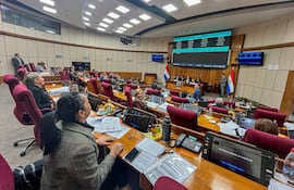 Sesión de la Cámara de Senadores. Foto Gentileza de la Cámara Alta.