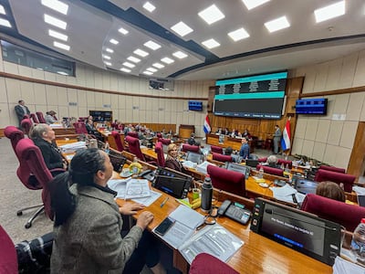Sesión de la Cámara de Senadores. Foto Gentileza de la Cámara Alta.