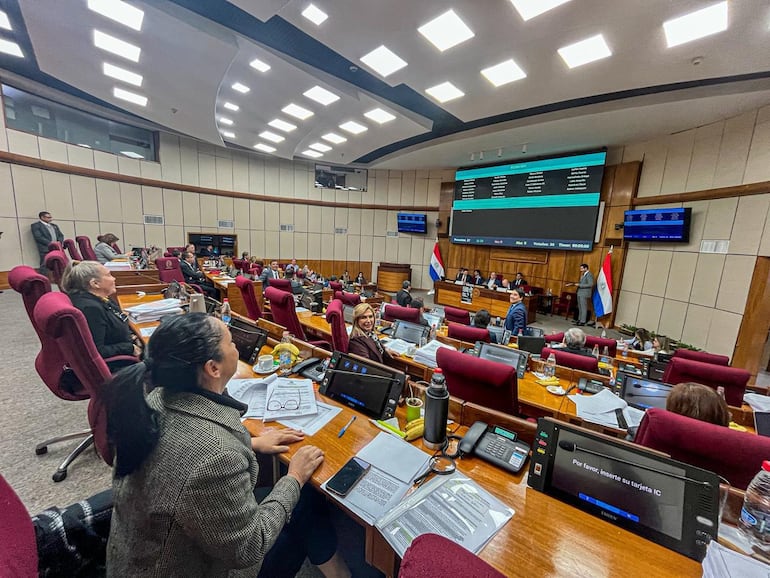 Sesión de la Cámara de Senadores. Foto Gentileza de la Cámara Alta.