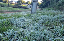 Panorama de un campo con densa vegetación y estructura de concreto al fondo, sin personas visibles.