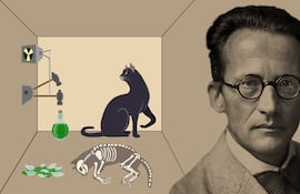 Erwin Schrödinger, el físico que imaginó al famoso gato cuántico.