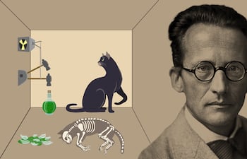 Erwin Schrödinger, el físico que imaginó al famoso gato cuántico.