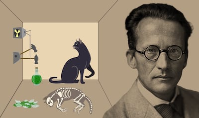 Erwin Schrödinger, el físico que imaginó al famoso gato cuántico.