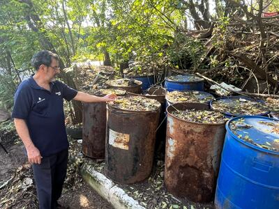 Ambientalista denuncia abandono de tambores con pilas en Lambaré