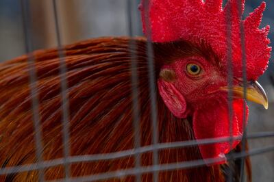 /pf/resources/images/abc-placeholder.png?d=2393