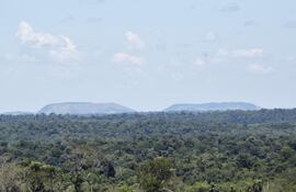 Reserva San Rafael, una de las áreas silvestres protegidas que tiene actualmente dos focos de calor.