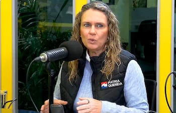 NO TIENE NOMBRE. Diputada Rocío Vallejo
