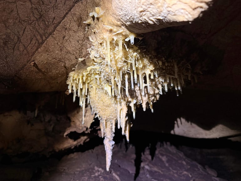 Formaciones de estalactitas y estalagmitas beige y amarillas en ambiente oscuro de cueva, resaltando la belleza natural.