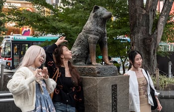 Un siglo después de su nacimiento, la historia del fiel compañero que esperó en la estación de tren de Shibuya a que su amo regresara a casa, sin saber que ya había muerto, sigue inspirando al público, que ha hecho de la estatua un hito singular.