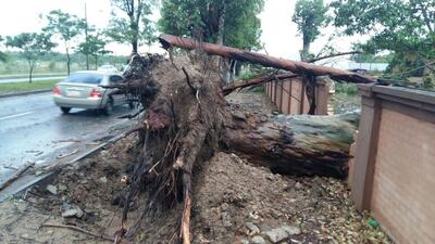 /pf/resources/images/abc-placeholder.png?d=2397