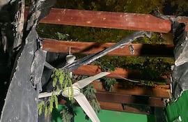 Ráfagas de viento derriban ramas de un árbol sobre una vivienda en el barrio Roberto L. Petit