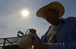 Imagen ilustrativa: un hombre toma tereré ante un intenso sol y calor.