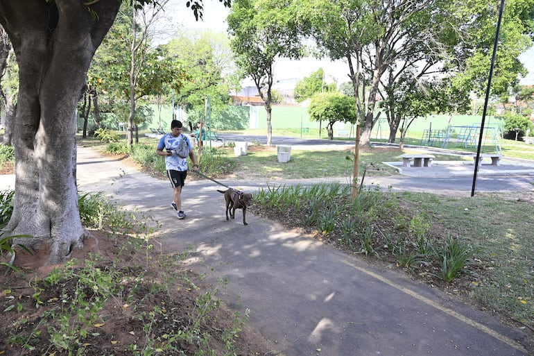 Hombre con camiseta clara y pantalones cortos camina con un labrador en un parque arbolado.