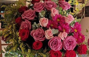 Tubos de ensayo y floreros transparentes sostienen rosas rojas y rosadas.