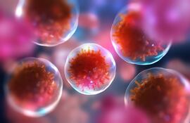 Células del cuerpo humano bajo un microscopio