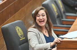 diputada rocío abed