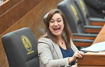 diputada rocío abed