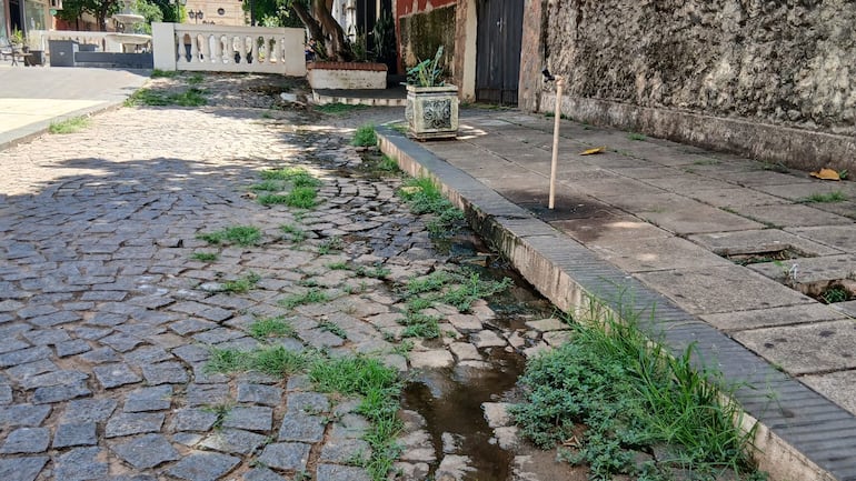 El lugar está repleto de yuyos, olor a orina, y a desecho de material fecal.