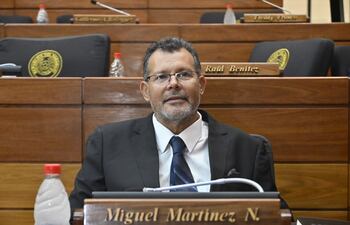 Diputado Miguel Martínez (Cruzada Nacional).