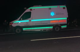 Ambulancia que trasladaba a un menor chocó contra un vacuno en la ruta PY01.